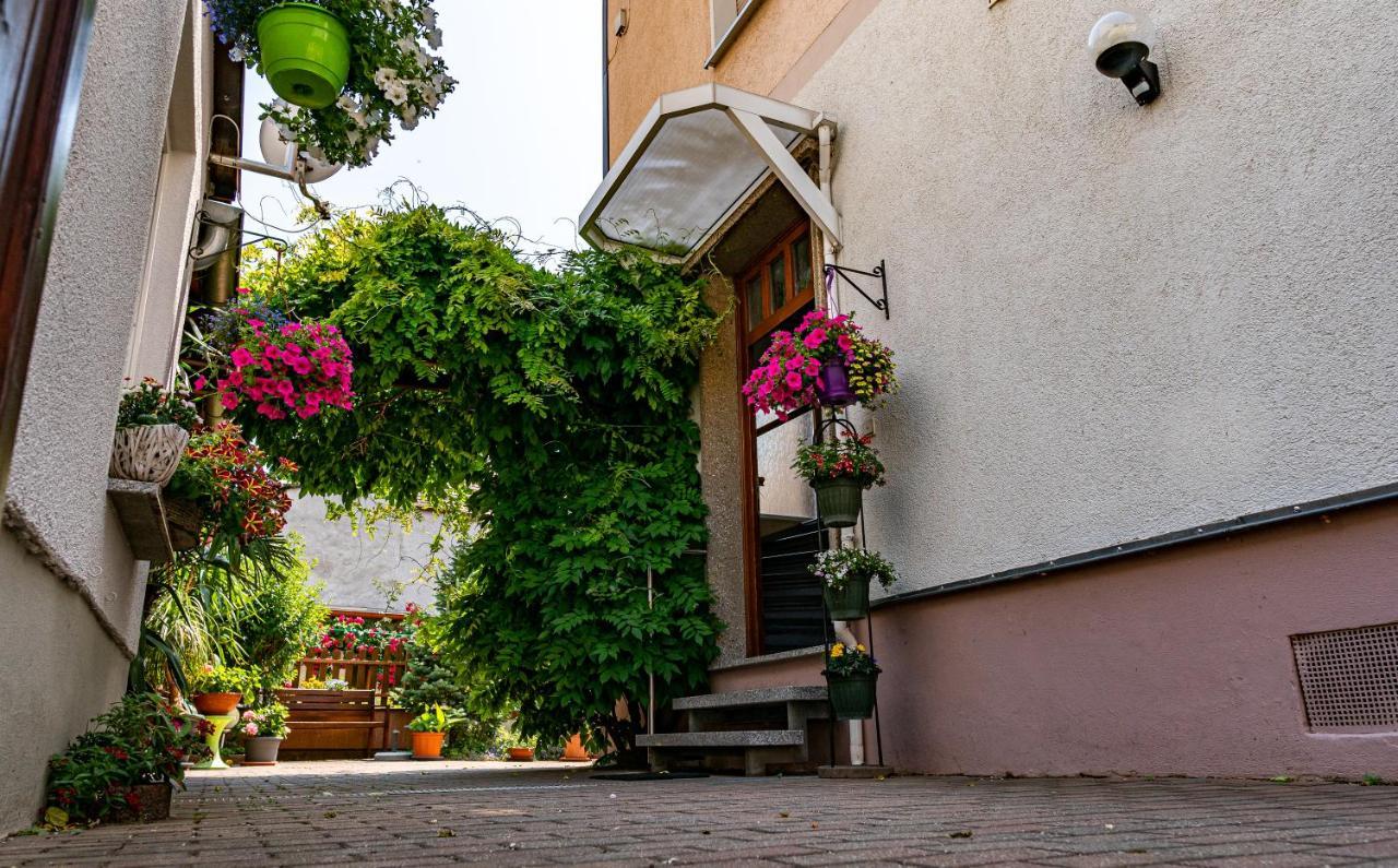 Pension Борна Экстерьер фото