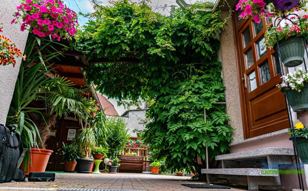 Pension Борна Экстерьер фото