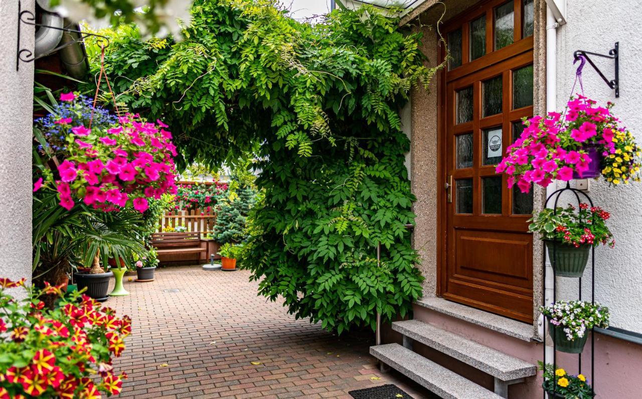 Pension Борна Экстерьер фото